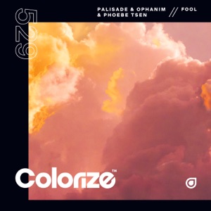Fool - Single