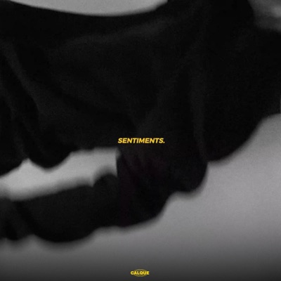 SENTIMENTS. - Single