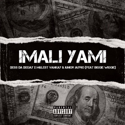 Imali Yami (feat. Biggie Wiggie) - Single