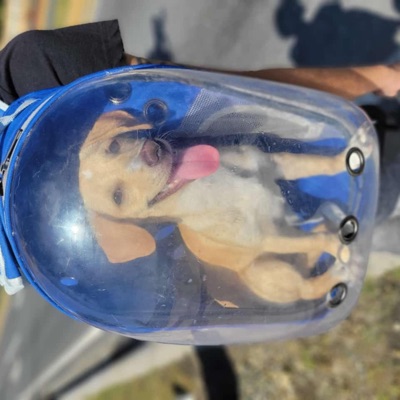 cusco (Slowed) - Single