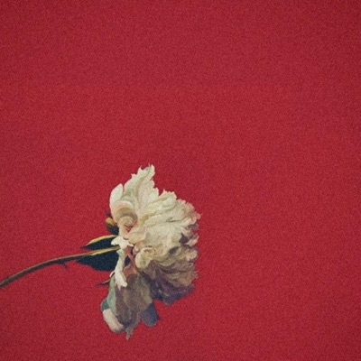 RIGHT NOW (feat. Way2Savage, Mphae, Willard Marley & Bobby Cling) - Single