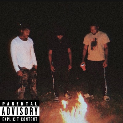 Too Many (feat. Reggie & GuyPrana) - Single