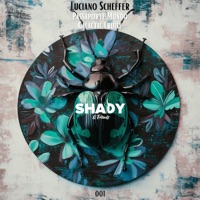 Passaporte Mundo / Galactic Cruise - Single - Luciano Scheffer