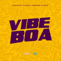 Vibe Boa - Single - Mc Elison SP & MC Nuno VJ