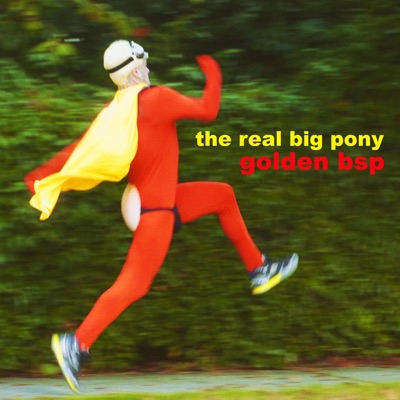 The Real Big Pony - Single