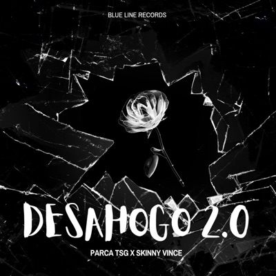 Desahogo 2.0 (feat. Skinny Vince & KobeOnTheBeatz) - Single