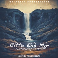 BITTE GIB MIR - Single - PsykonX & Senshi58