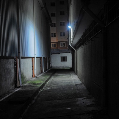 Haunt - Single