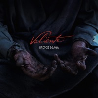 Valiente (feat. Víctor Manuel) - Single - Hector Braga