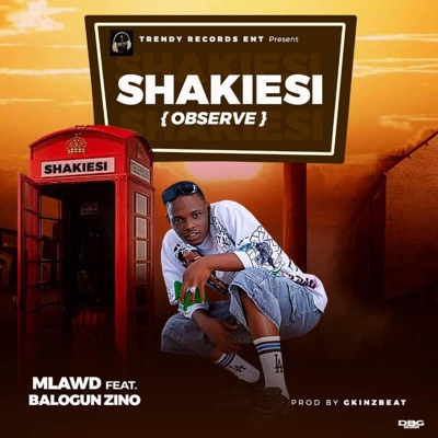 SHAKIESI(OBSERVE) (feat. Balogun Zino) - Single