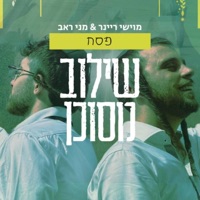 שילוב מסוכן - פסח (feat. מוישי ריינר) - Single - meni