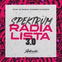 Spektrum Radialista 3.0 (feat. Mc Magrinho, Mc Indiazinha & Mc Giih) - Single - Dj Vitinho Zn