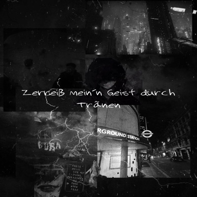 Zerreiß mein'n Geist durch Tränen (feat. Trog) - Single