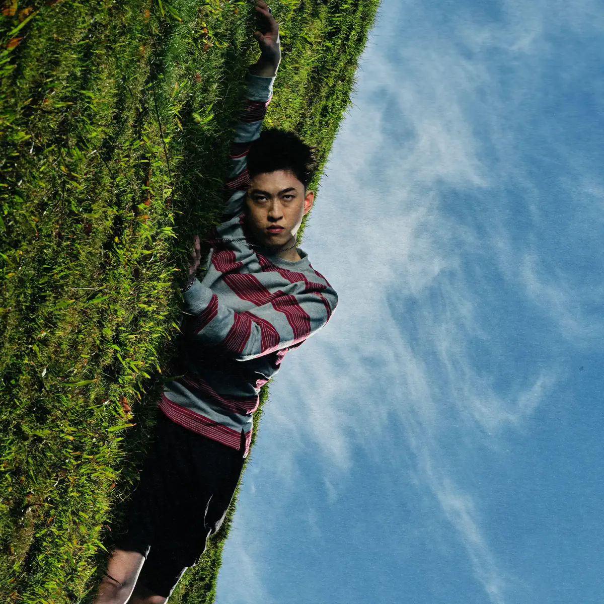 Rich Brian - WHERE IS MY HEAD? [pre-order] (2025) [iTunes Plus AAC M4A]-新房子