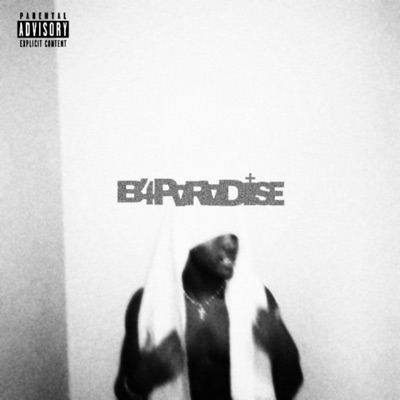 B4 P4RADISE!