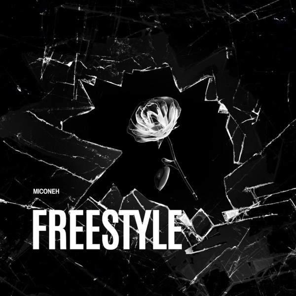 Freestyle 1