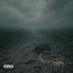 When The Dust Settles - K-Trap Cover Art