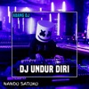 DJ Undur Diri (Remix) - Single