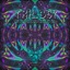 Trilogy - True Hallucinations