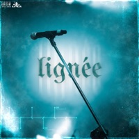 Lignée - Single - Kr4k3n