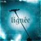 Lignée Single