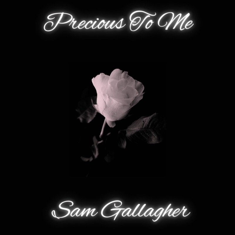 Precious To Me - Single