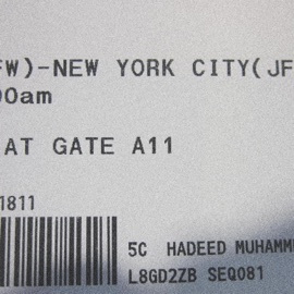 summertime in new york Hadeed Muhammed
