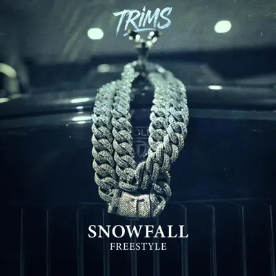 Listen to Snowfall Freestyle - Single by Trims