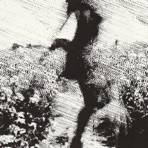 BODY N SOUL - Single