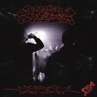 Kein Plan - Single - OTR44, Swin & Schummlaz