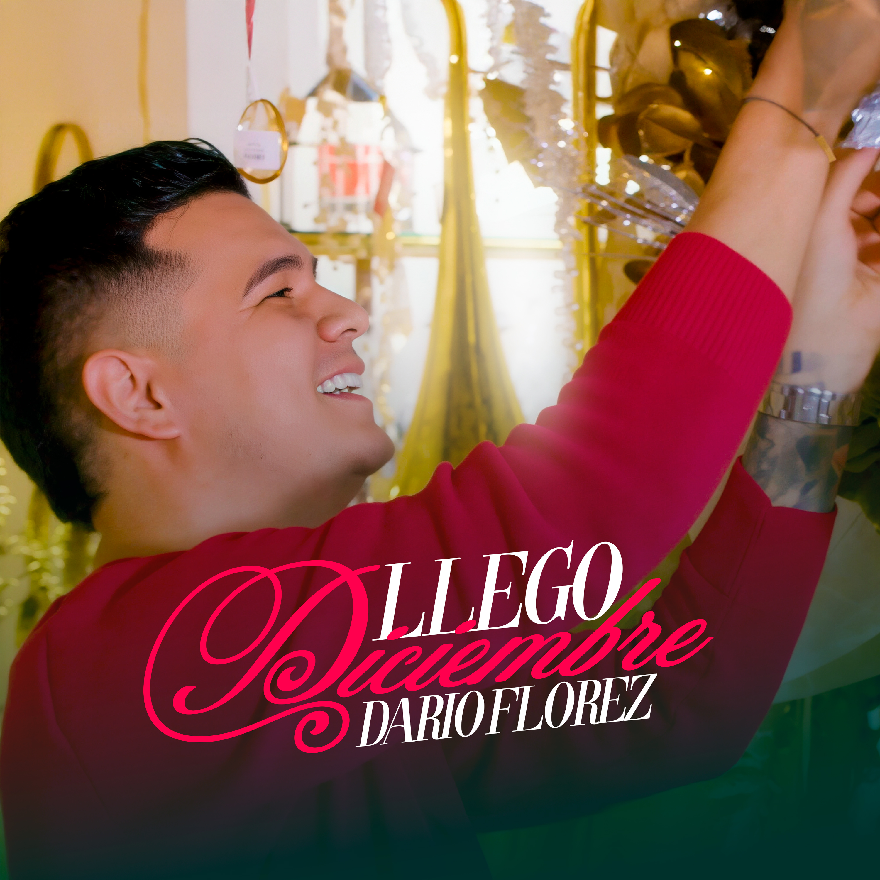 Llego Diciembre - Single