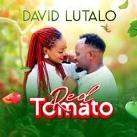 Red Tomato - Single - David Lutalo