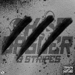 3 Stripes album cover