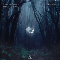Picture - Single - Aaron Shirk