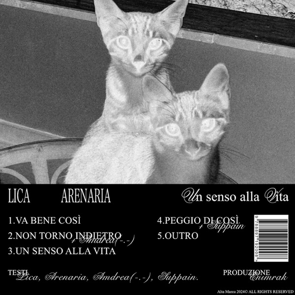 un senso alla vita