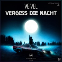 Vergiss die Nacht - Single - Veivel & Thias