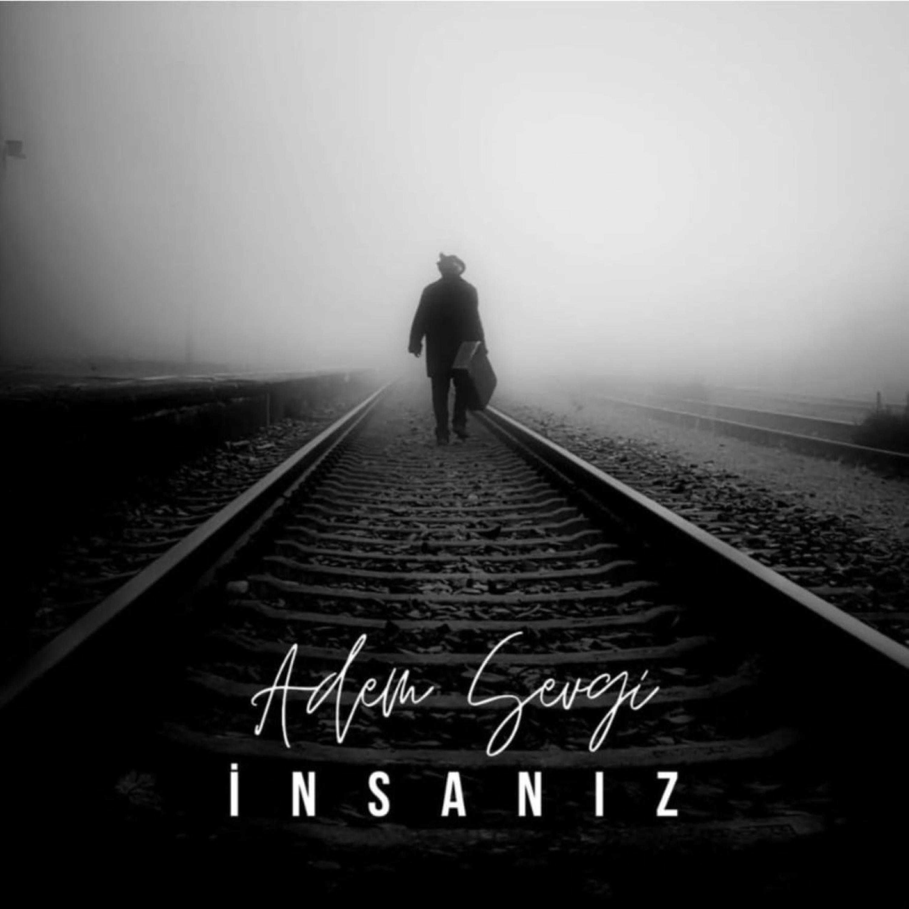 INSANIZ - Single
