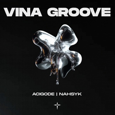 VINA GROOVE - Single