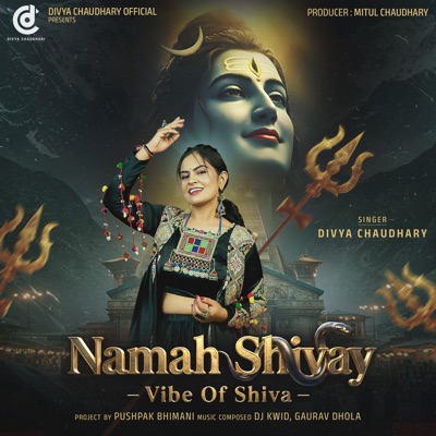 Namah Shivay Vibes of Shiva - Single