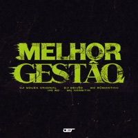 MELHOR GESTÃO (feat. Mc Romântico) - Single - DJ Souza Original, Dj Deivão, Mc Rd & MC Negritin