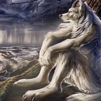 12 Stout Street (Nedaj Bootleg) - Single - Nedaj