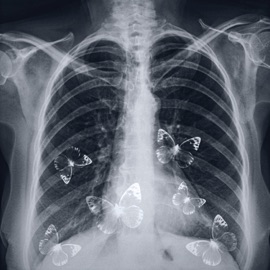 Бабочки ПЕЧЕНЬЕ & OTRIX