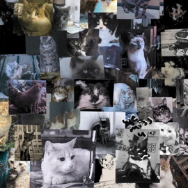 lost + found Ezekiel