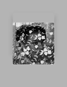 Ouve Fariston, vê vídeos de música, lê a biografia, vê as datas da digressão e muito mais!