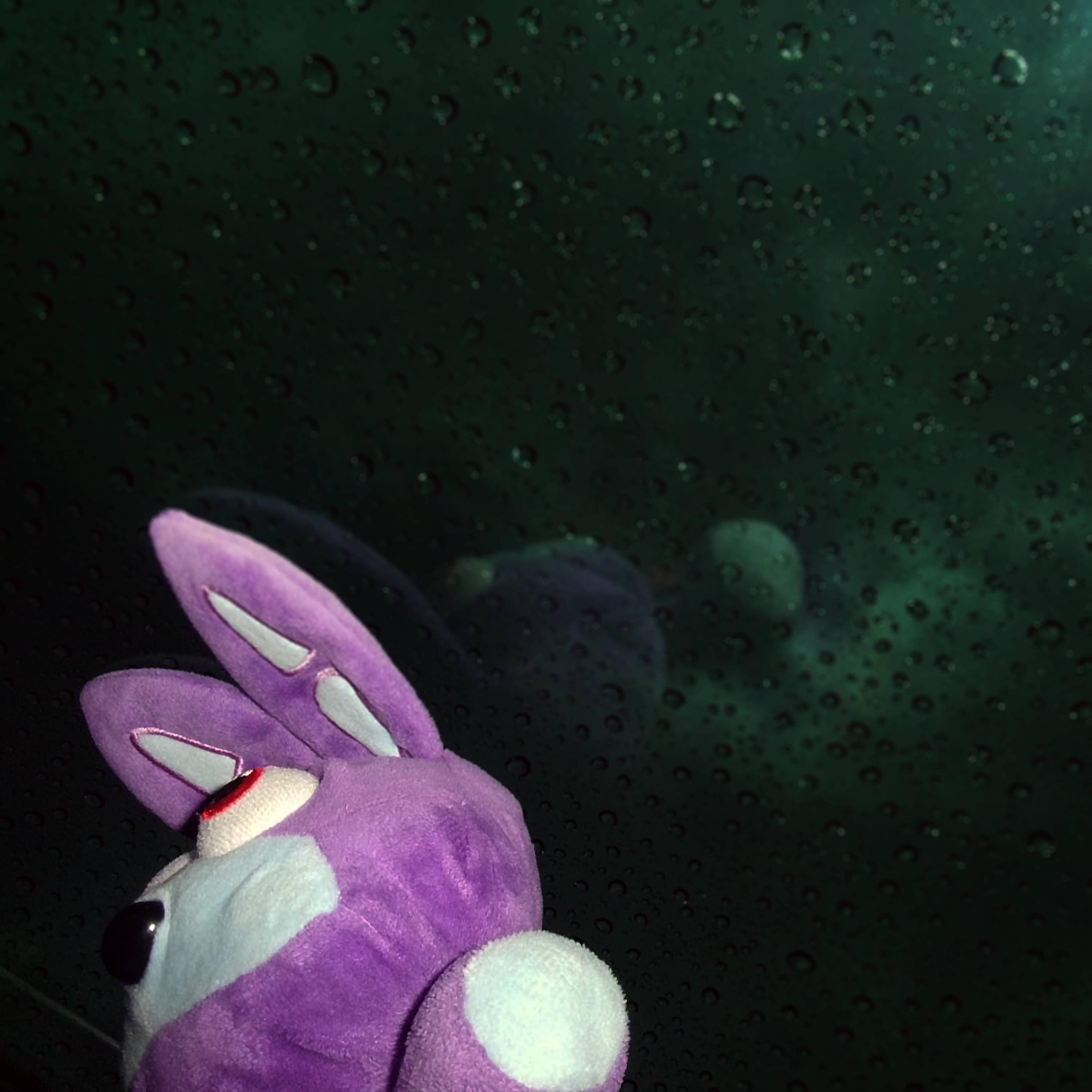 lies / forgiven - Single