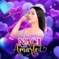 Naci Para Amarte Anny Liñan