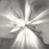 Prefiero Parar song art