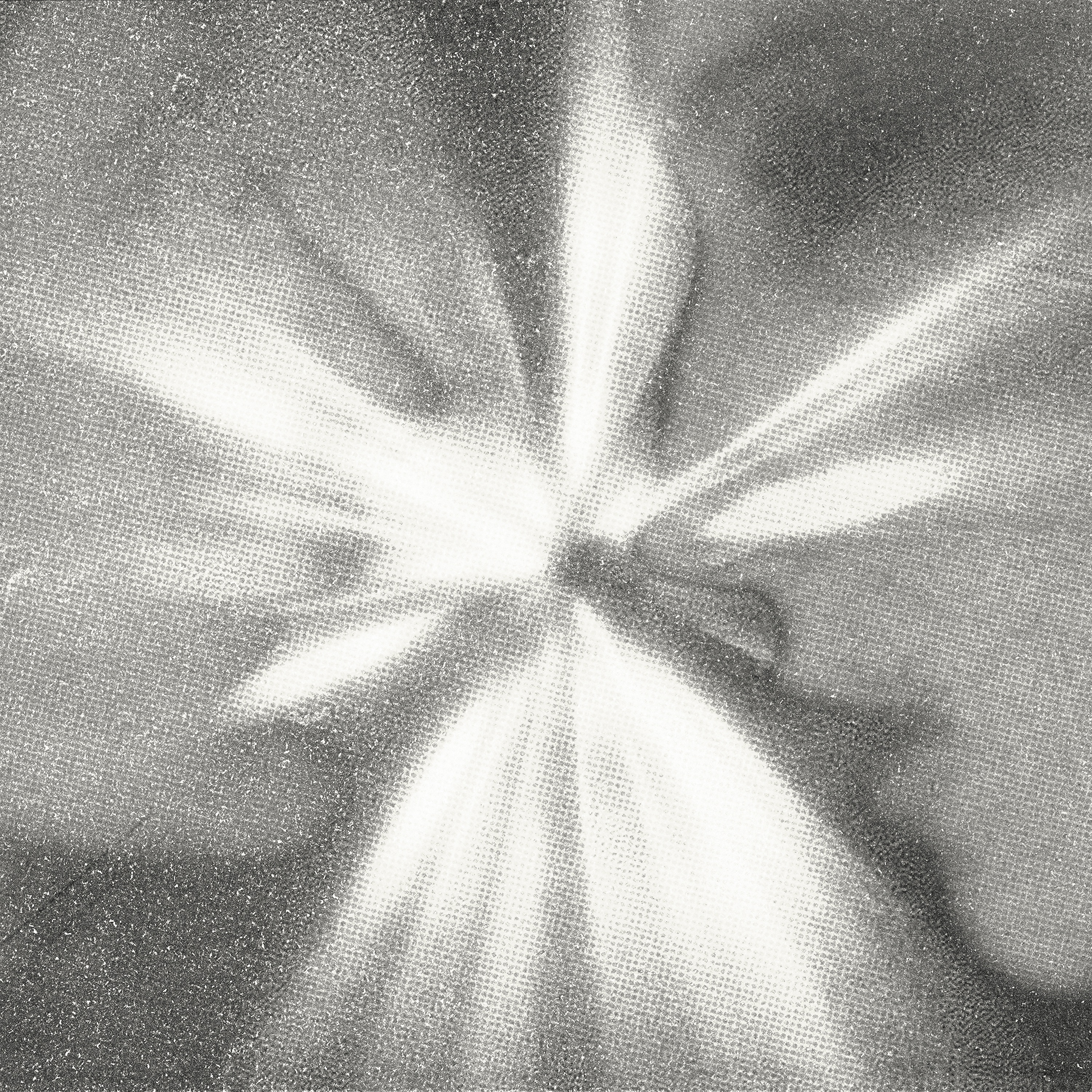 Prefiero Parar - Single