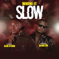 Whine It Slow (feat. Blake Zambia) - Single - Slim Sturn