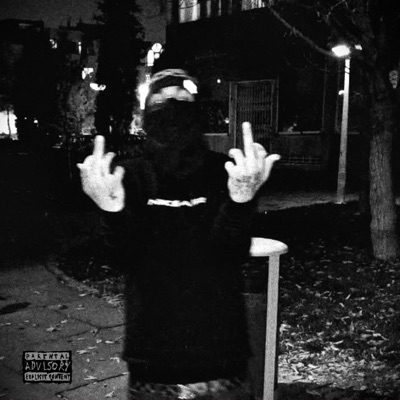 RIFLES - Single